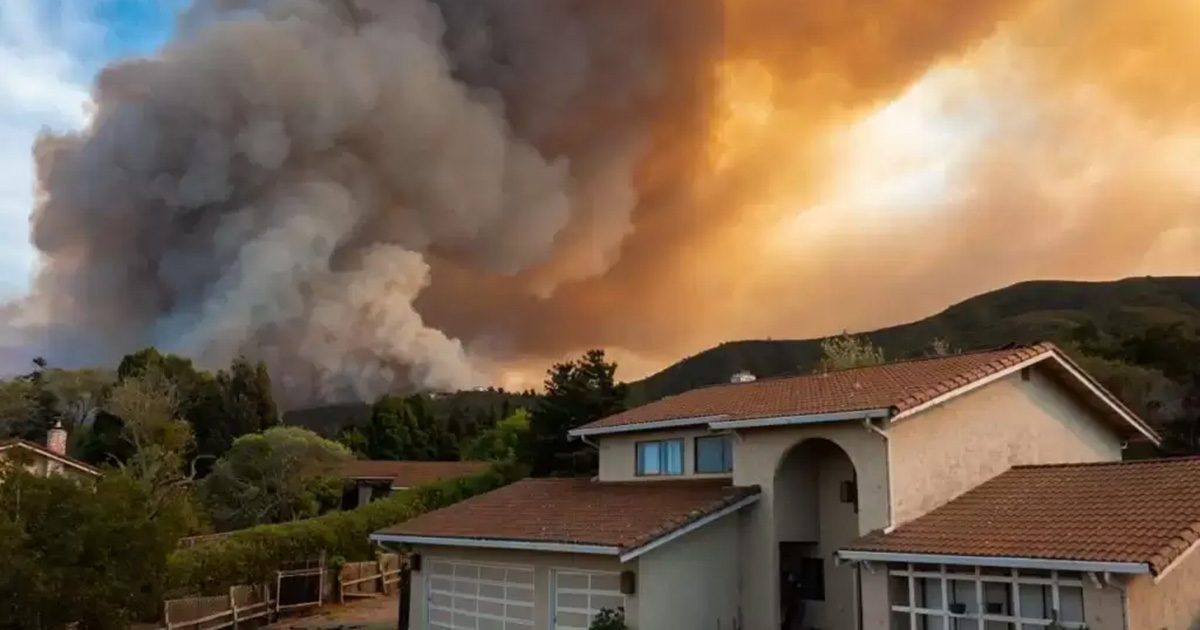 Do Air Purifiers Work For Wildfire Smoke?
