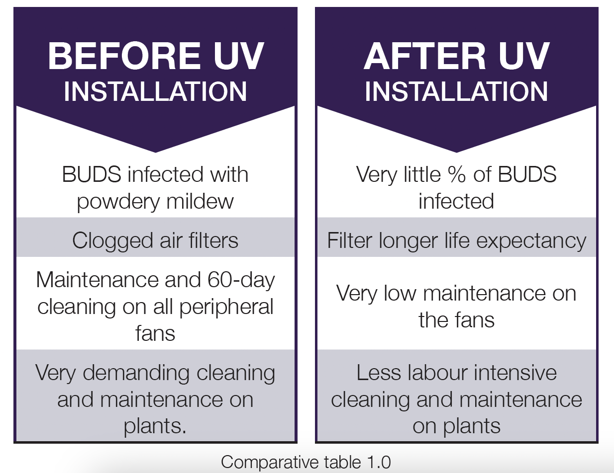 Rigaud Cannabis Producer