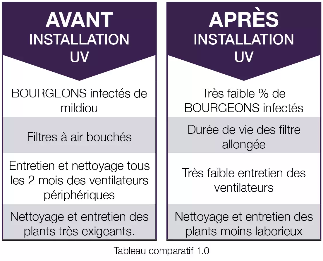 Producteur de cannabis à Rigaud