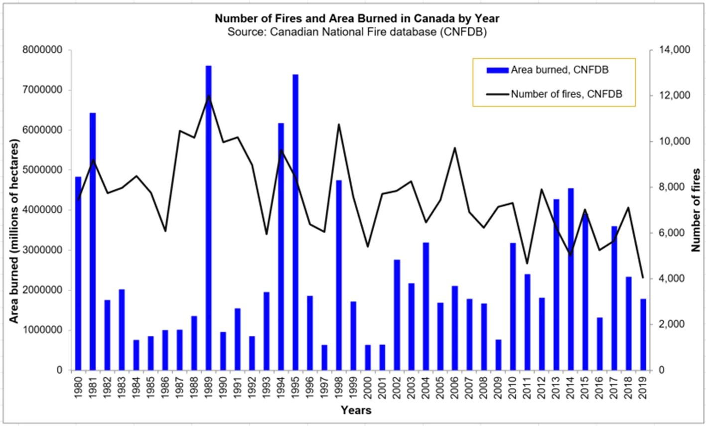 Wildfires And Their Impact On Our Lives