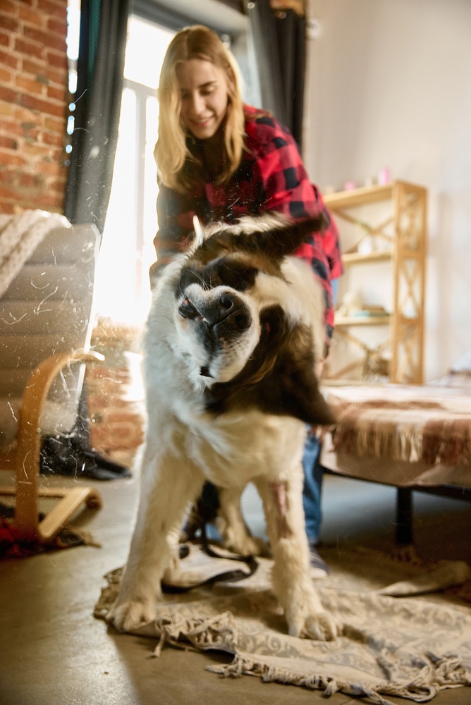 Do Air Purifiers Really Eliminate Pet Odors?