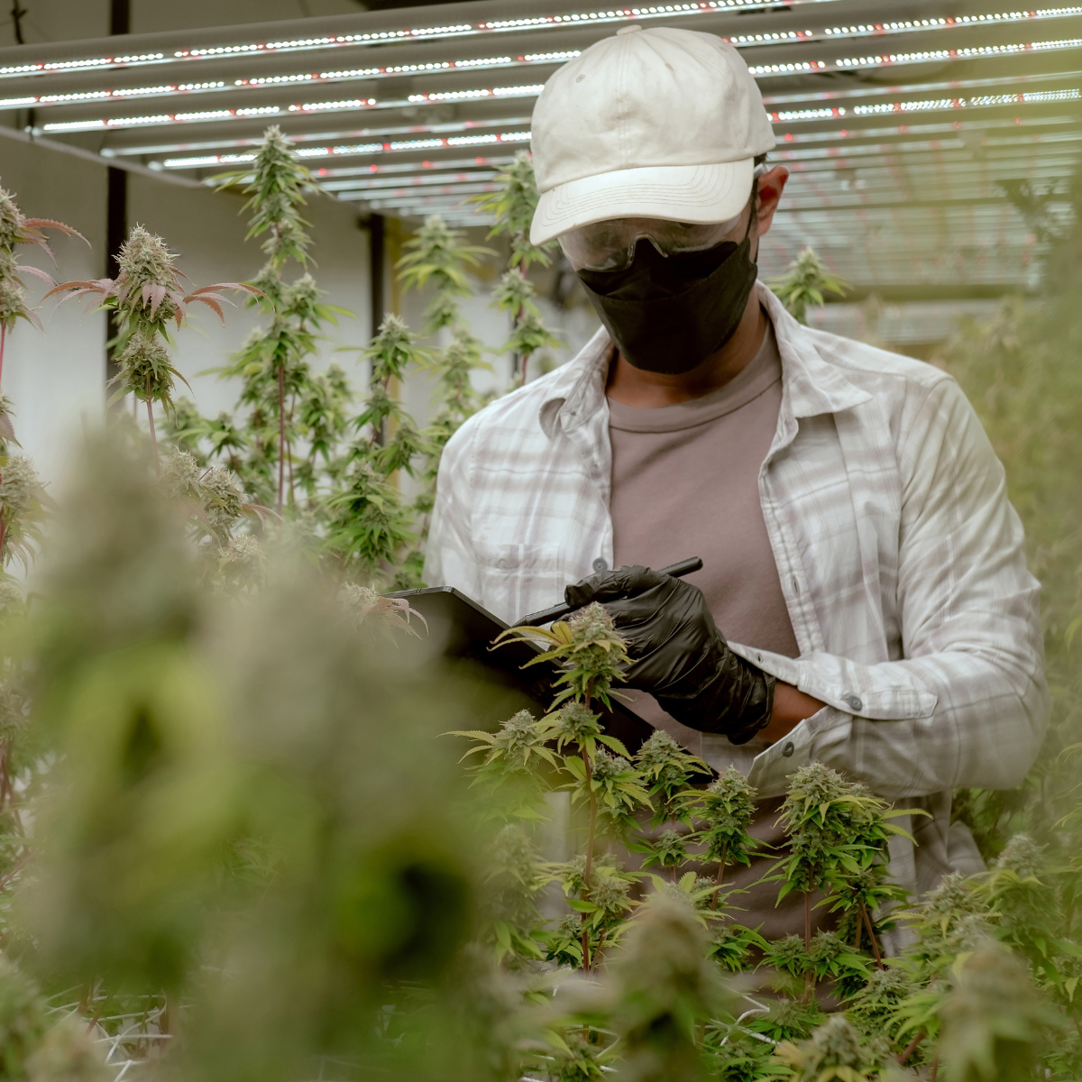 L'air pur. Pour tout le monde. Partout.