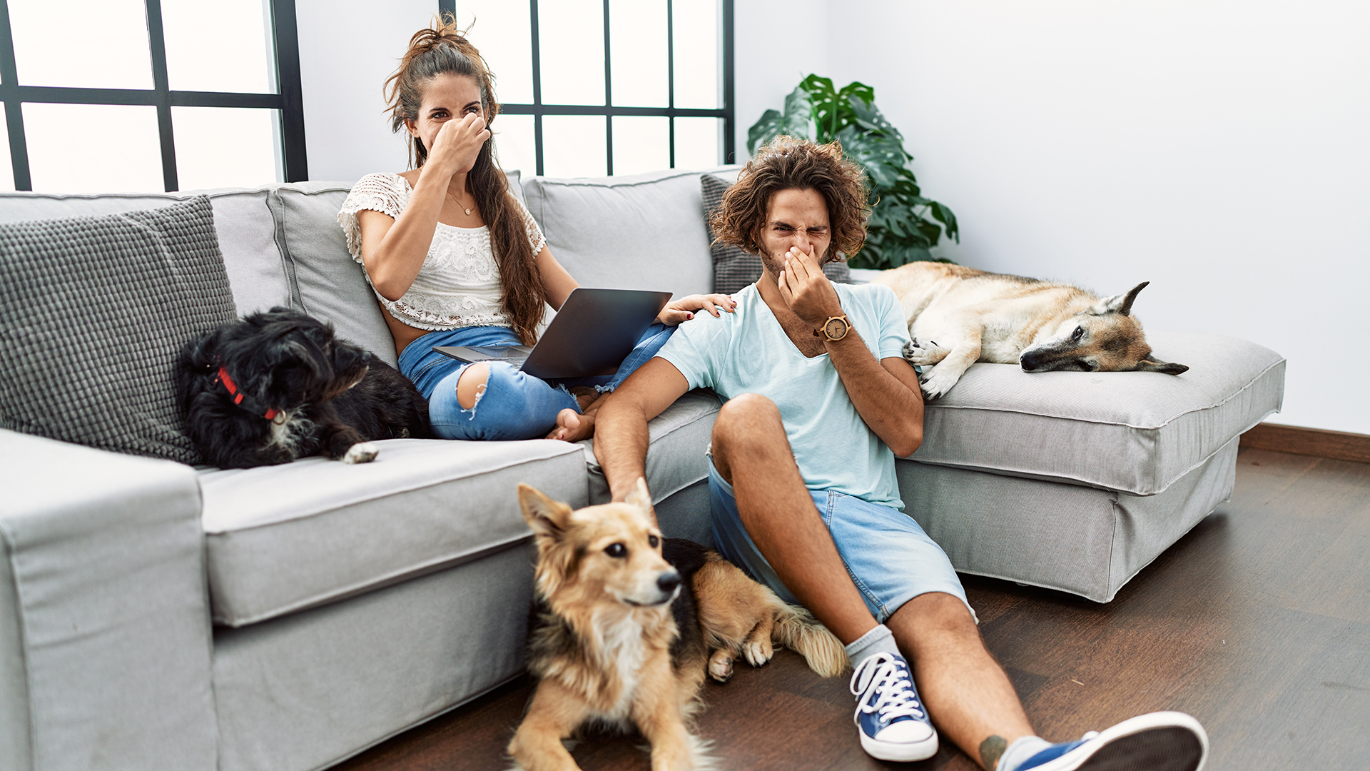 Can air purifiers remove odors?