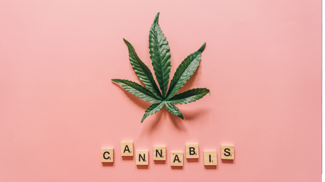 How to Eliminate Weed Smoke Indoors: The Best Air Purifiers