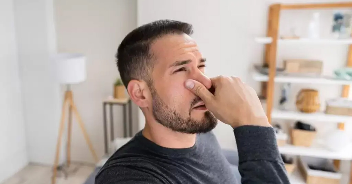 Do Air Purifiers Get Rid Of Smells?